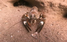 Wyjazd na Hańczę 10.2021