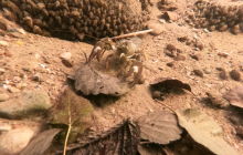 Wyjazd na Hańczę 10.2021