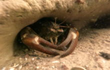 Wyjazd na Hańczę 10.2021