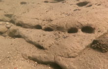 Wyjazd na Hańczę 10.2021