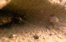 Wyjazd na Hańczę 10.2021