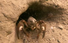 Wyjazd na Hańczę 10.2021