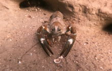 Wyjazd na Hańczę 10.2021