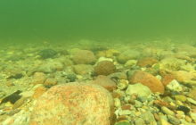 Wyjazd na Hańczę 10.2021