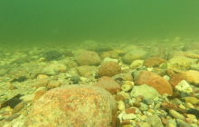 Wyjazd na Hańczę 10.2021