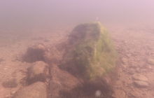 Wyjazd na Hańczę 10.2021