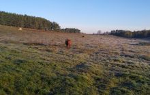 Wyjazd na Hańczę 10.2021