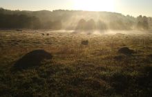 Wyjazd na Hańczę 10.2021