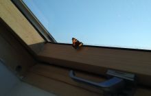 Wyjazd na Hańczę 10.2021