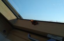 Wyjazd na Hańczę 10.2021