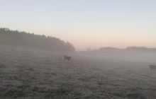 Wyjazd na Hańczę 10.2021