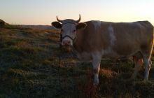 Wyjazd na Hańczę 10.2021