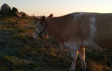 Wyjazd na Hańczę 10.2021