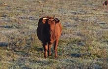 Wyjazd nurkowy nad jezioro Hańcza