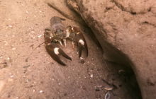 Wyjazd nurkowy nad jezioro Hańcza