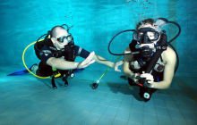 Podstawowy kurs nurkowy Open Water Diver część teoria i basen