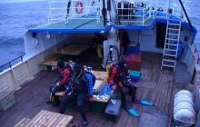  Jan Heweliusz - jednodniowy