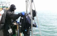  Jan Heweliusz - jednodniowy