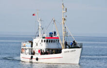  Jan Heweliusz - jednodniowy