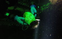  Jan Heweliusz - jednodniowy