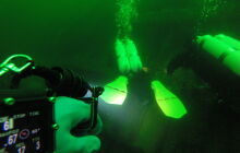  Jan Heweliusz - jednodniowy