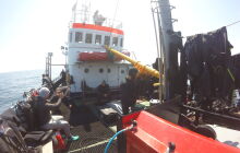  Jan Heweliusz - jednodniowy