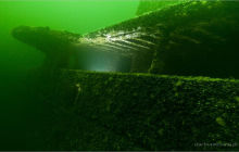 Wypłynięcie na Ślązak / ORP 304 i Delfin