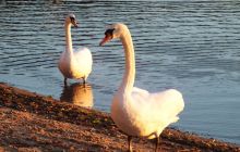 <p>Zakończenie Lata - IMPREZA NURKOWA</p>
