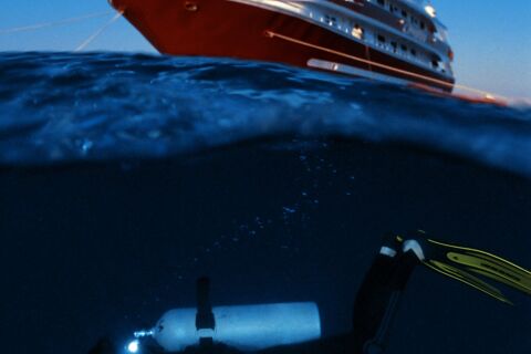 Morze Corteza - esencja Meksyku