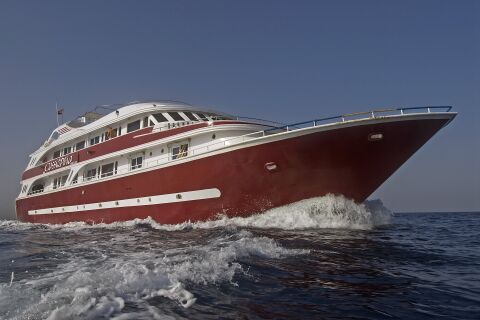 Morze Corteza - esencja Meksyku