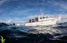 Wraki Łeby - Parowiec i &quot;Nieznany ze śrubą na pokładzie&quot;