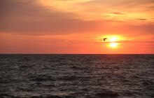 Wraki Łeby - Parowiec i &quot;Nieznany ze śrubą na pokładzie&quot;