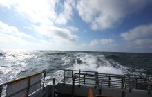 Wraki Łeby - Parowiec i &quot;Nieznany ze śrubą na pokładzie&quot;