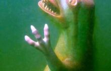 Dinozaury w j. Płotki