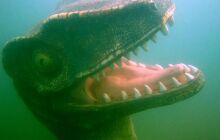 Dinozaury w j. Płotki