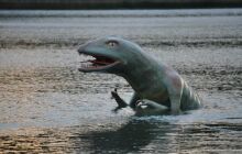 Dinozaury w j. Płotki