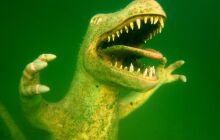 Dinozaury w j. Płotki