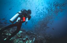 Wyprawa nurkowa na Bali i Komodo