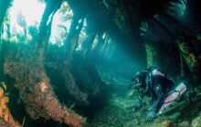 Wyprawa nurkowa Scapa Flow