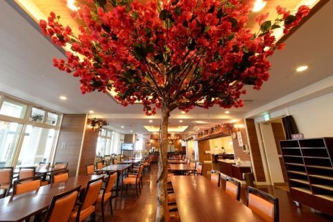 Wyprawa nurkowa Okinawa