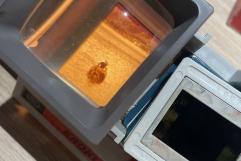 Spotkanie poświęcone historii pierwszych nurkowań w Bałtyku