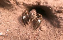 Wyjazd nurkowy nad jezioro Hańcza