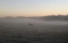 Wyjazd nurkowy nad jezioro Hańcza