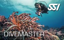 Szkolenie DiveMaster - spotkanie organizacyjne