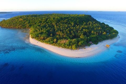 Fidżi i Tonga: Raj z Humbakami