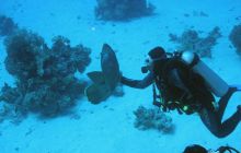 St. Johns - październik 2009