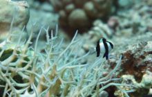 St. Johns - październik 2009