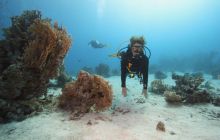 St. Johns - październik 2009