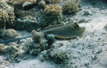 St. Johns - październik 2009