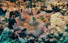 St. Johns - październik 2009